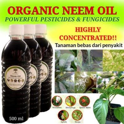  Neem Oil - A Powerful Natural Insecticide and Fungicide for Sustainable Agriculture?